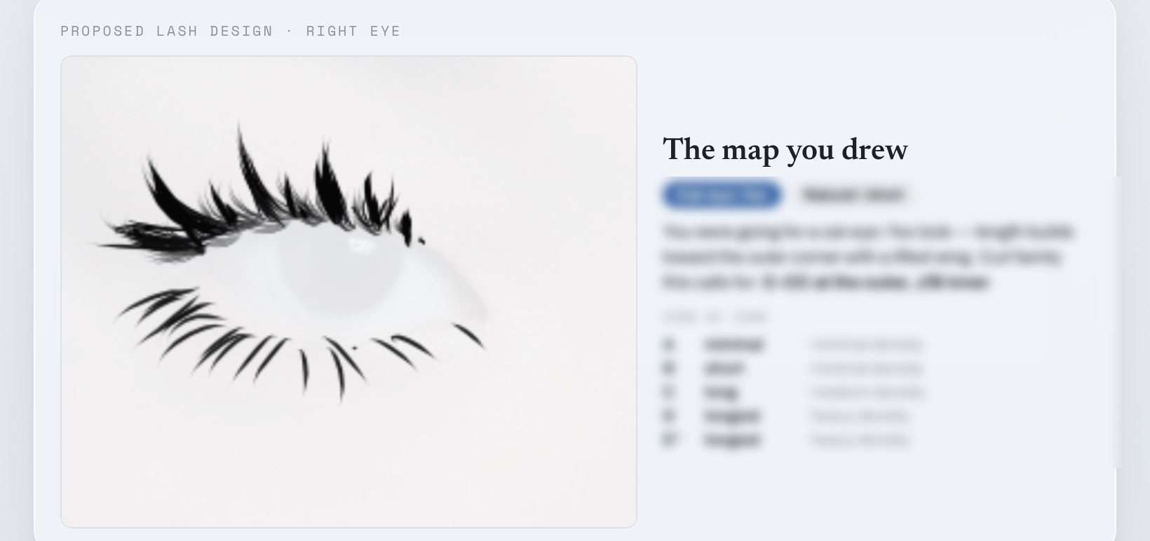 The lash map you drew