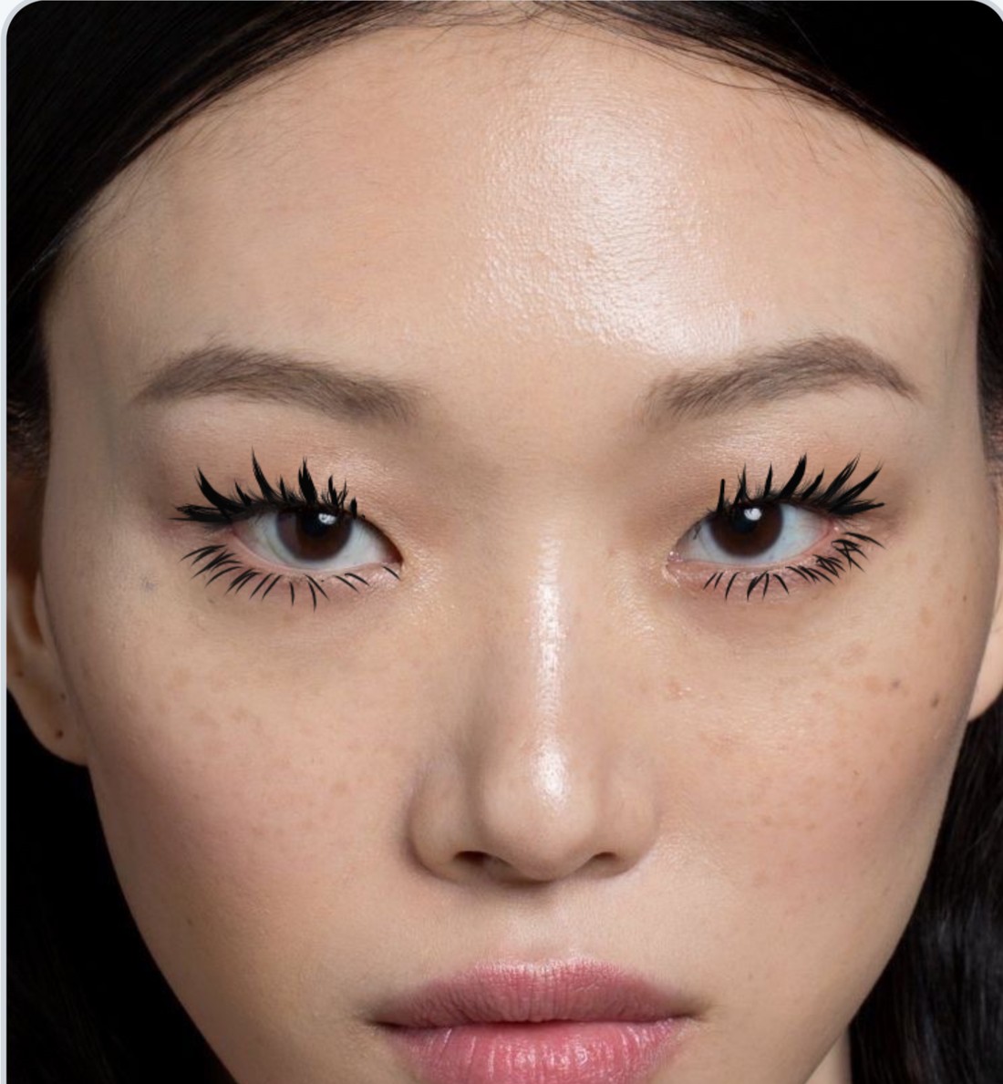 A lash sketch